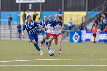 Bild 135 - wBJ Hamburger SV - FC Suederelbe : Ergebnis: 9:0